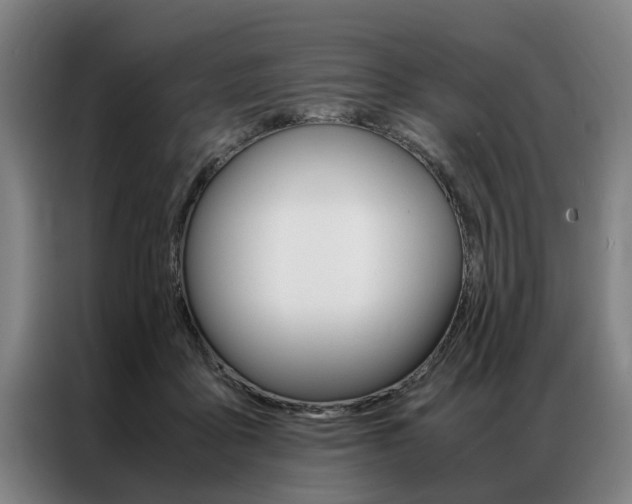 X0000087310411200704200722