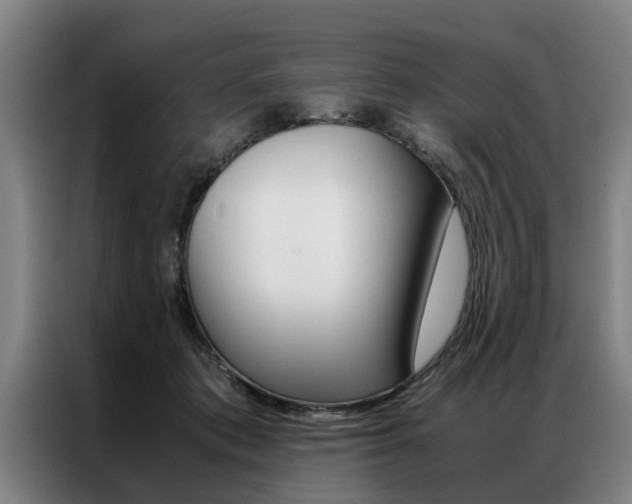 X0000087310413200704200722