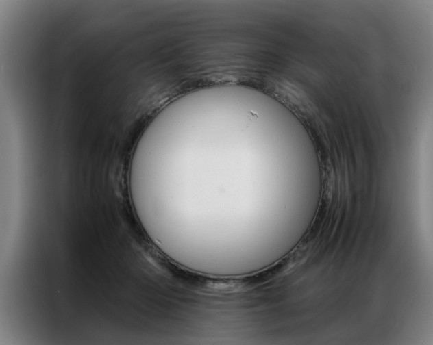 X0000087310414200704200722