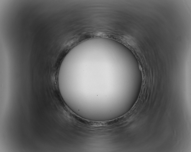 X0000087310415200704200722