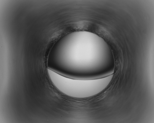 X0000087310416200704200722