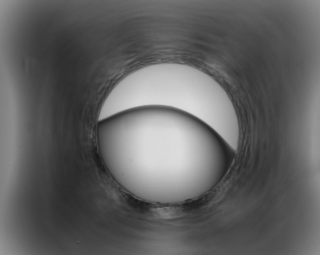 X0000087310417200704200722
