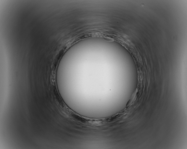 X0000087310419200704200722