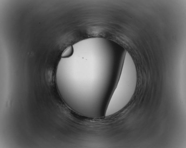X0000087310420200704200722