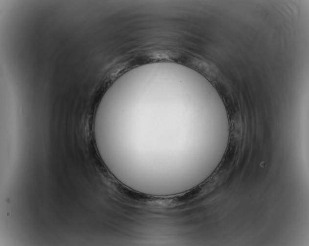 X0000087310422200704200722