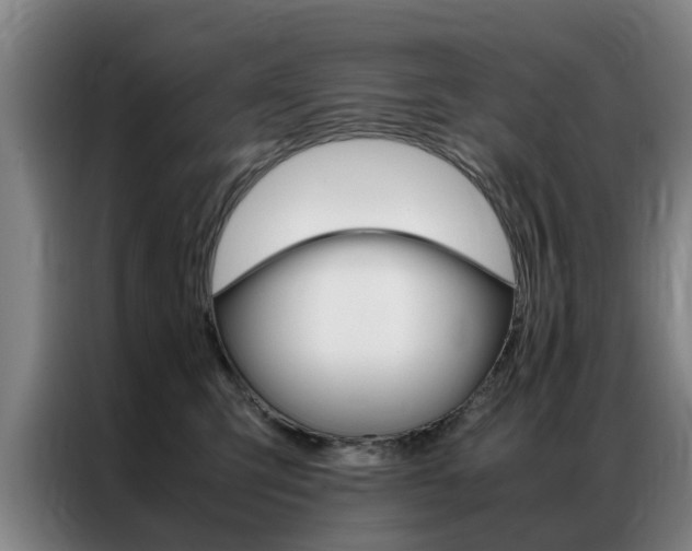 X0000087310423200704200722