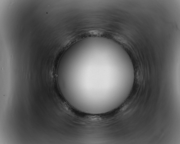 X0000087310424200704200722