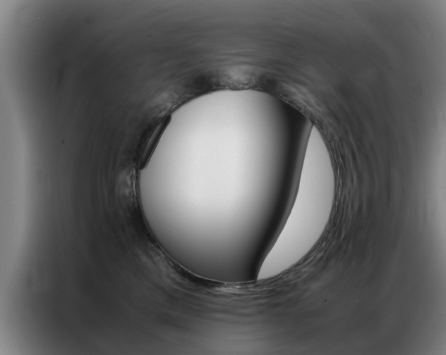 X0000087310425200704200722