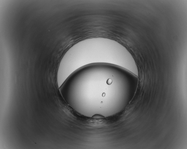 X0000087310428200704200722