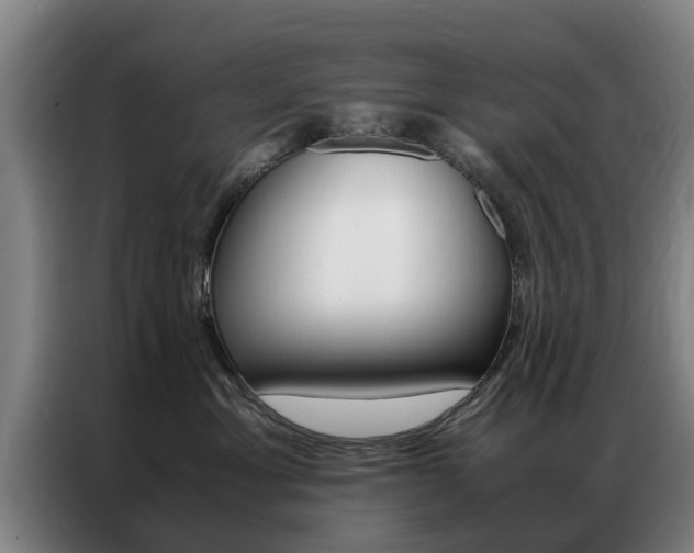X0000087310429200704200722