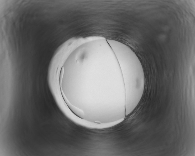 X0000087310431200704200722