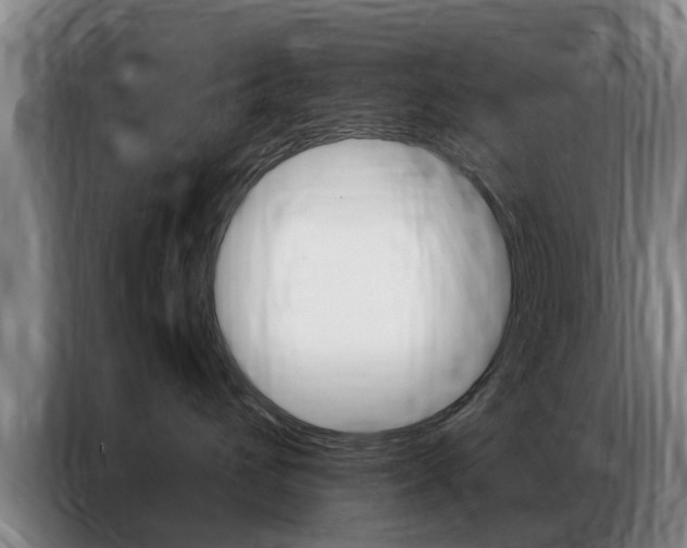 X0000087310432200704200722