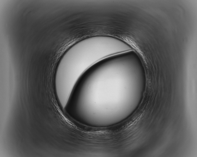 X0000087310433200704200721