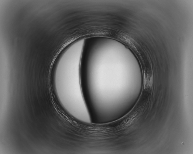 X0000087310435200704200721