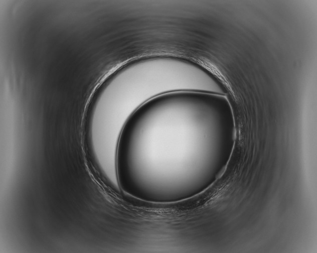 X0000087310436200704200721