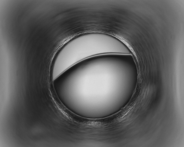 X0000087310437200704200721