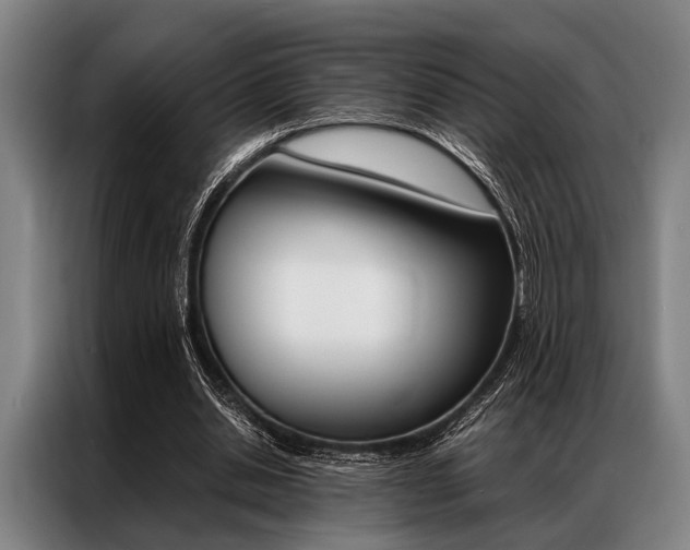 X0000087310438200704200721