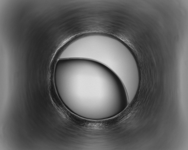 X0000087310440200704200721