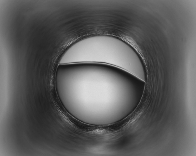 X0000087310441200704200721