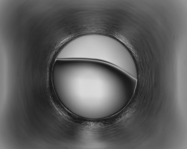 X0000087310442200704200721