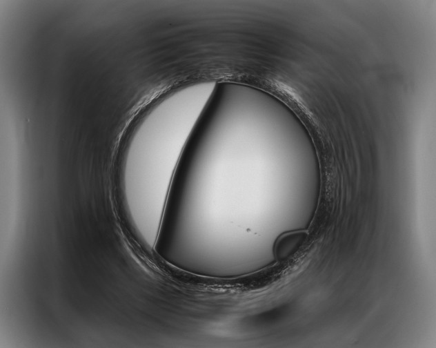 X0000087310443200704200721