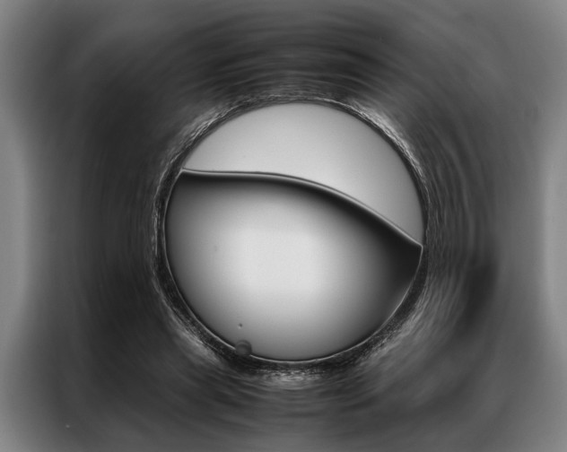 X0000087310445200704200721