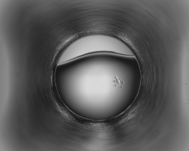 X0000087310446200704200721