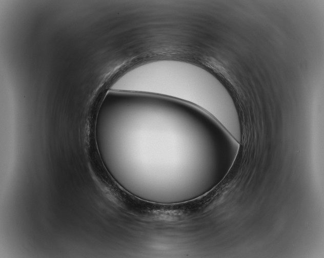 X0000087310448200704200721
