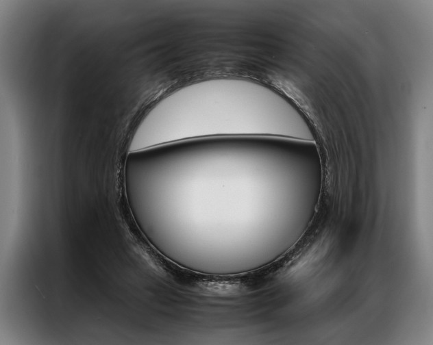 X0000087310449200704200721