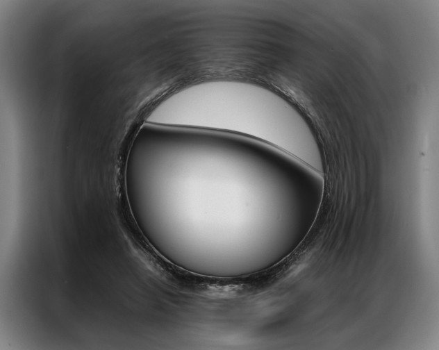 X0000087310450200704200721