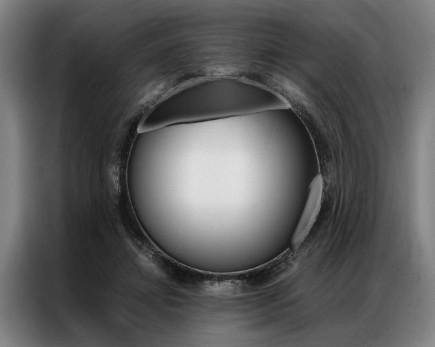X0000087310452200704200721