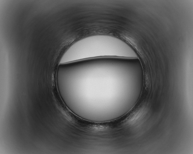 X0000087310453200704200721