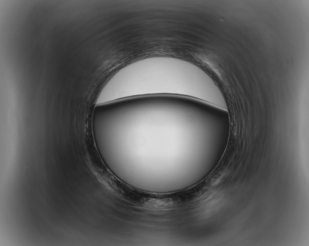 X0000087310455200704200721