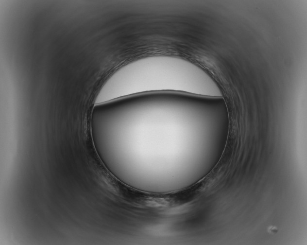 X0000087310457200704200721