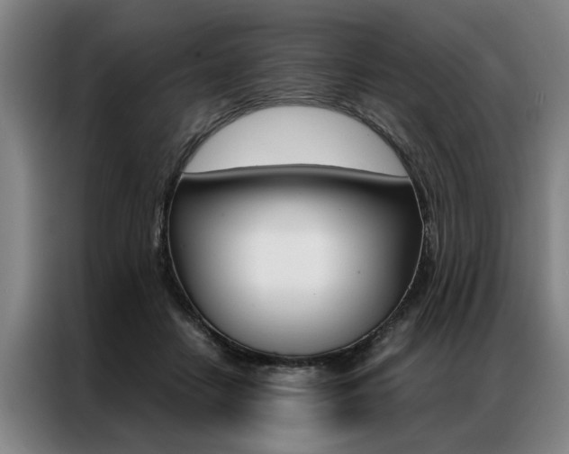 X0000087310458200704200721