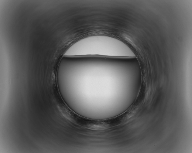 X0000087310459200704200721