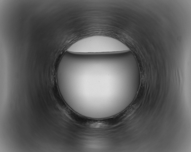 X0000087310460200704200721