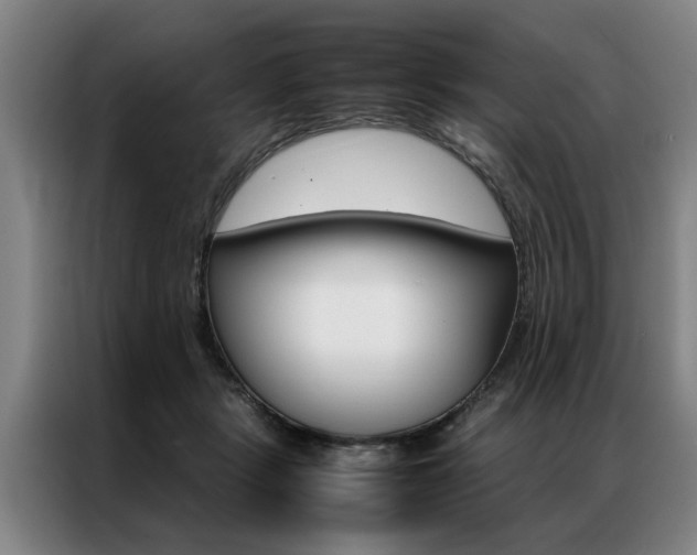 X0000087310461200704200721