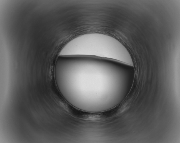 X0000087310462200704200721
