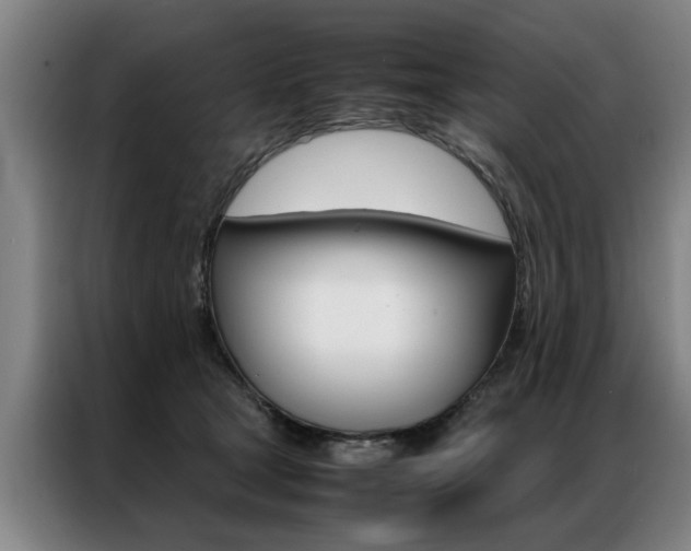 X0000087310465200704200722