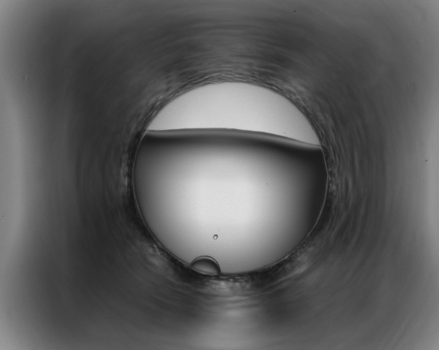 X0000087310466200704200722