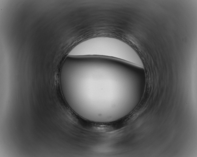 X0000087310467200704200722
