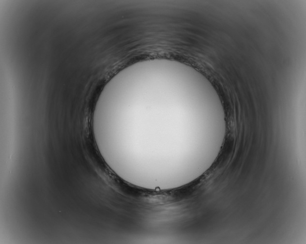 X0000087310468200704200722