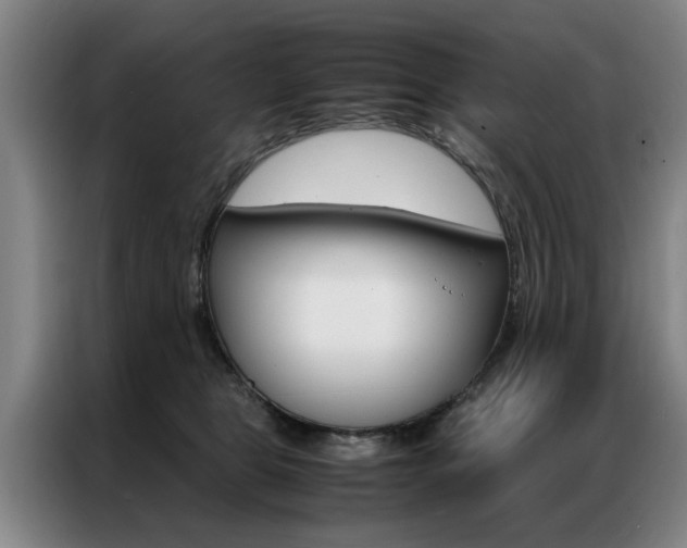X0000087310469200704200722