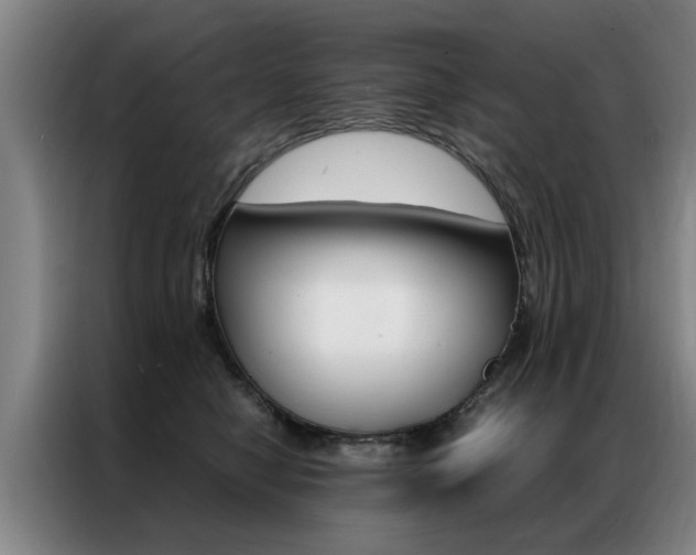 X0000087310470200704200722
