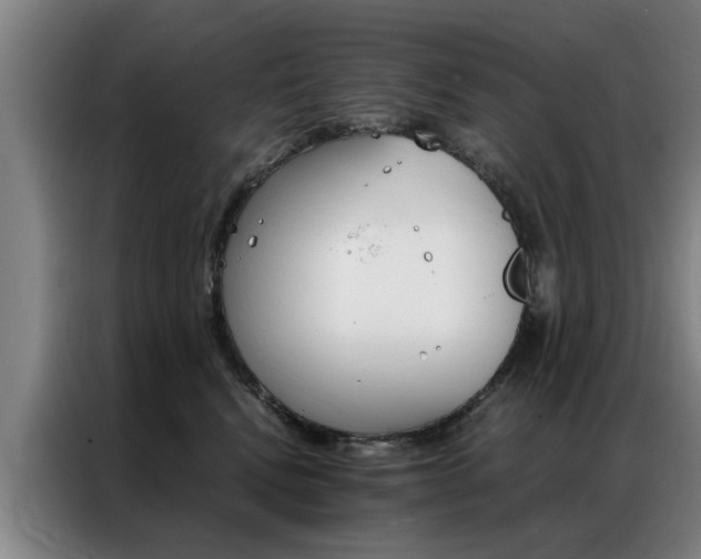 X0000087310472200704200722
