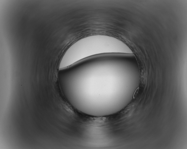 X0000087310474200704200722