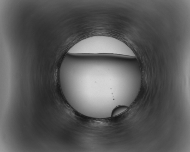 X0000087310475200704200722