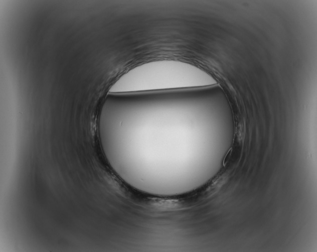X0000087310476200704200722