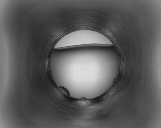 X0000087310477200704200722